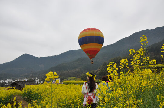 婺源油菜花