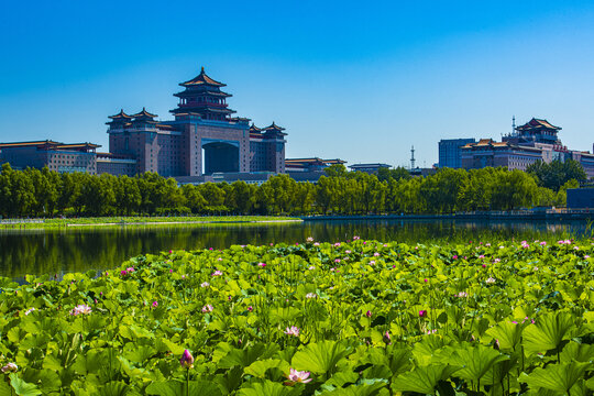 北京莲花池夏日风光