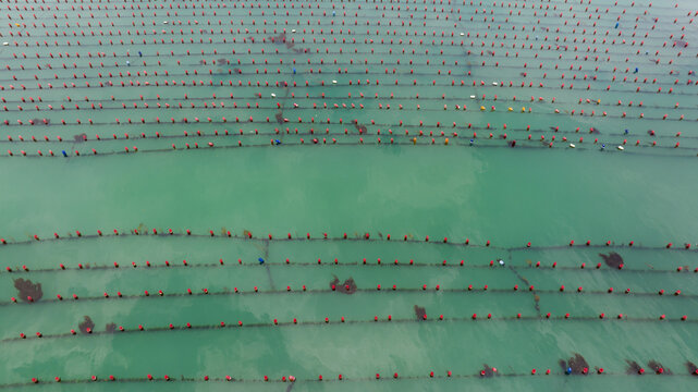 海洋养殖生蚝牡蛎养殖航拍