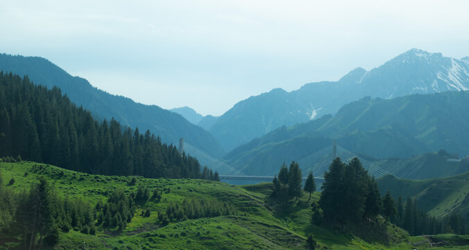 青山