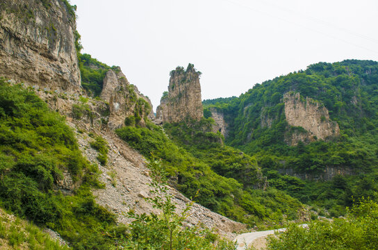 王莽岭风光