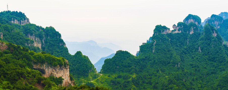 王莽岭风光