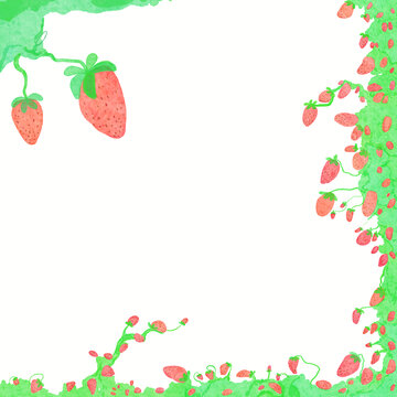 草莓水彩