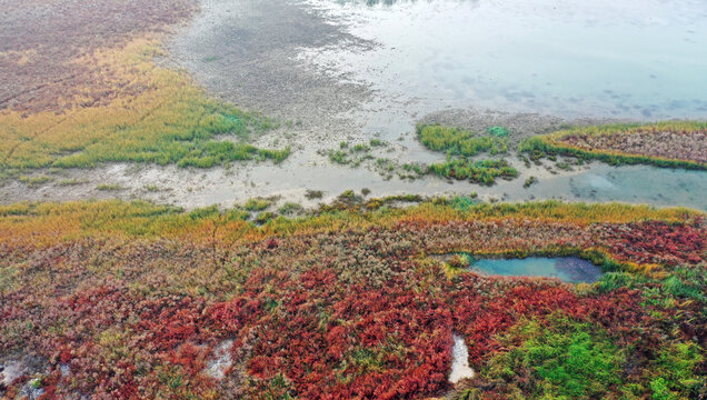 洛阳洛河湿地