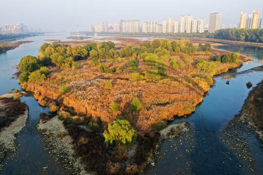 洛阳洛河湿地