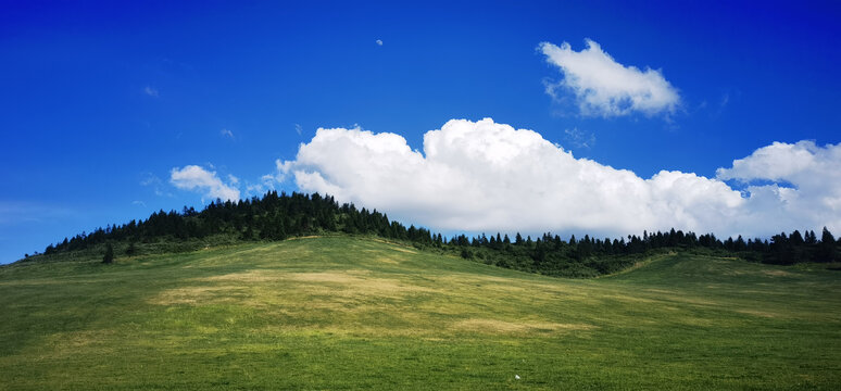 高山草原风光