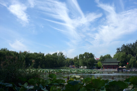 济南大明湖