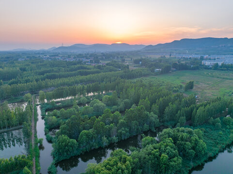 枣庄滕州微山湖红荷湿地