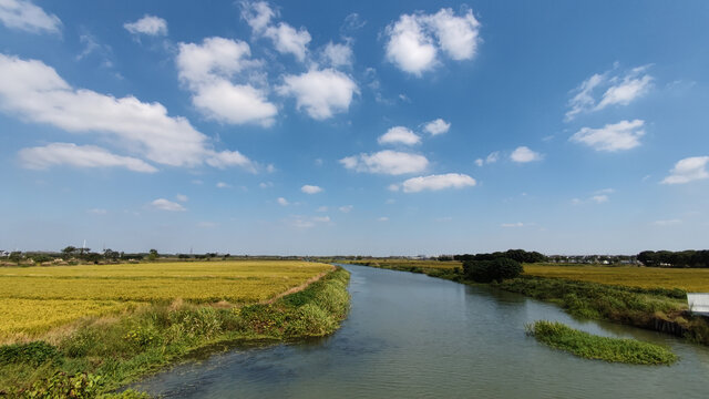 稻田蓝天