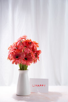 花瓶插花非洲菊