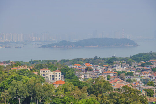 俯视鼓浪屿海岸红楼群与树木