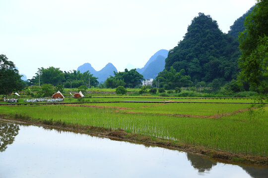 桂林山水风光