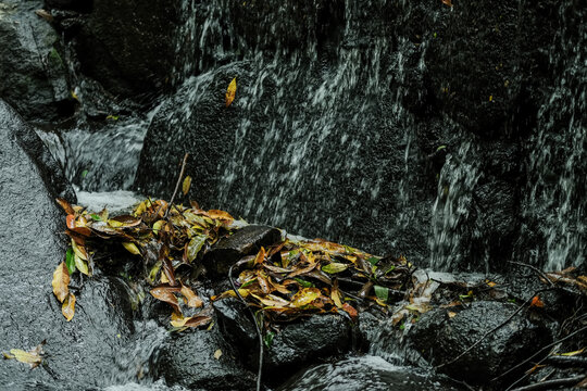 深圳马峦山郊野公园溪流