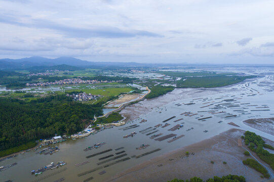 河岸景观