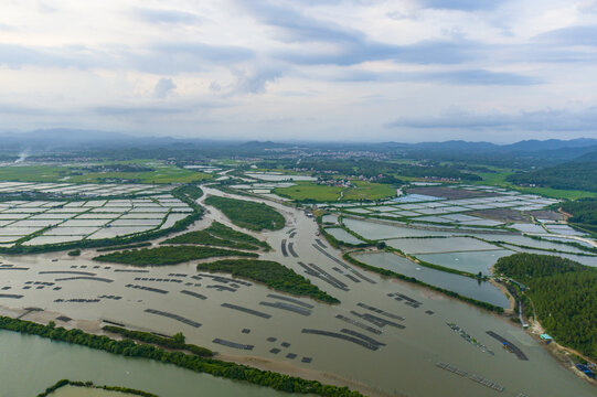 湿地公园