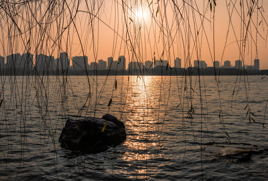 午后金鸡湖