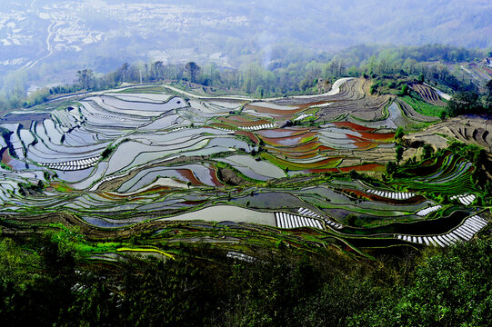 阮阳梯田