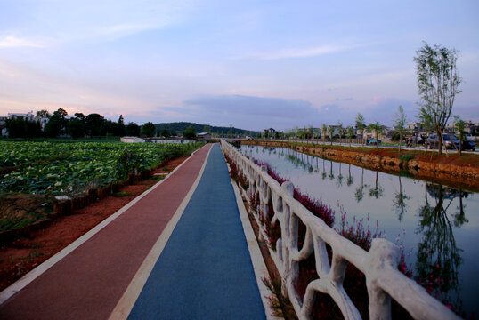 乡村步行道路