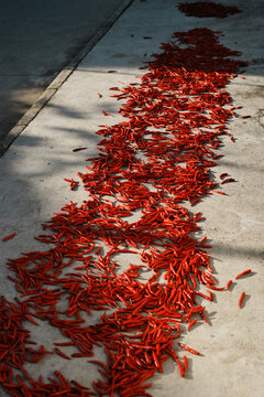 寨子里晒在地上的红色辣椒