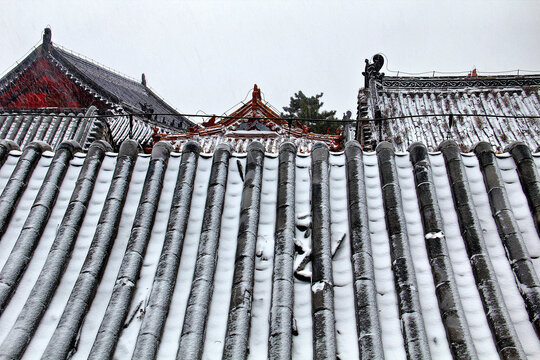 大雪泰山极顶屋脊