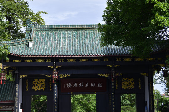 桂湖森林广场