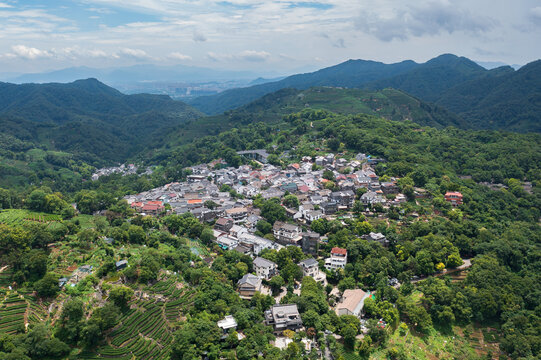 杭州西湖风景区满觉陇茶园风光