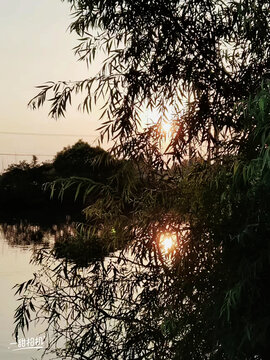 夕阳落进水里