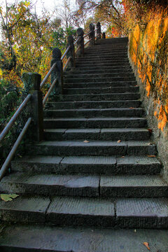 黄山戴震公园石阶梯