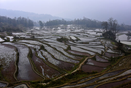 云南元阳梯田