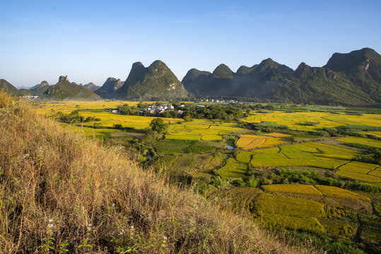 户外自然风景田园