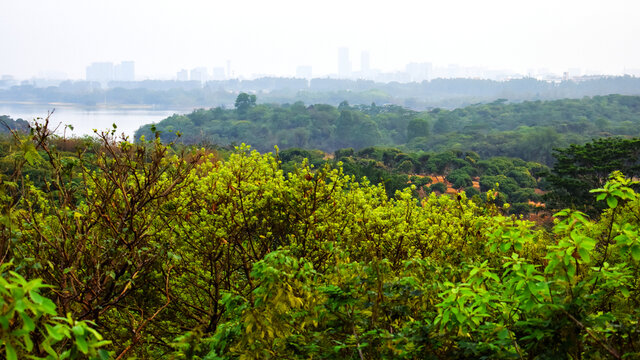 东莞松山湖景区