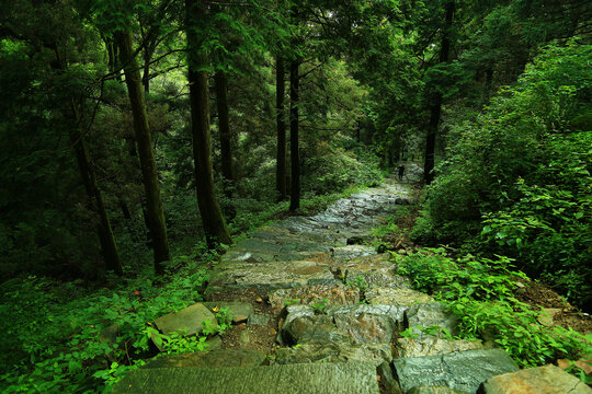 庐山风光