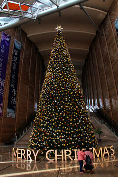 苏州文化艺术中心圣诞树