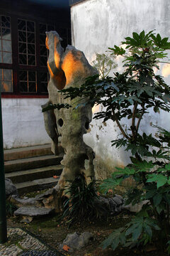 苏州博物馆太湖石