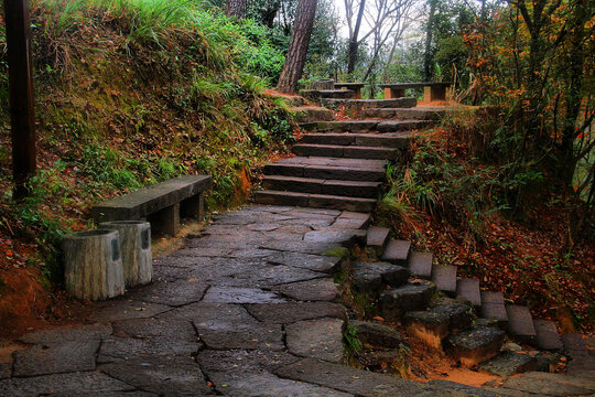 武夷山登山石台阶