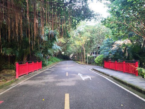 景区机动车道路