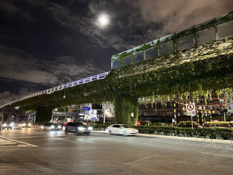 夜晚月亮下的公路