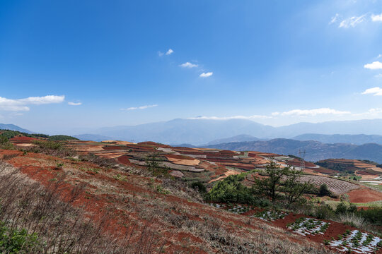 东川红土地