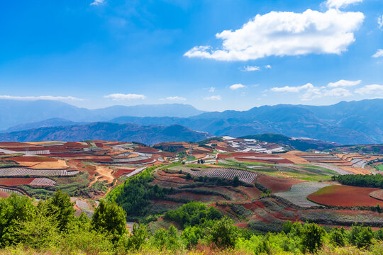 东川红土地