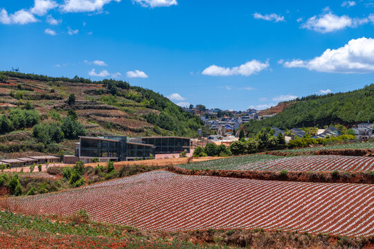 东川红土地