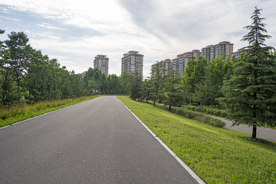 道路