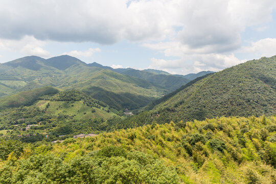 竹海远山