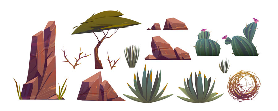 非洲沙漠中的风滚草 仙人掌和岩石素材