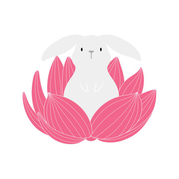 巨大莲花上的可爱白兔插图