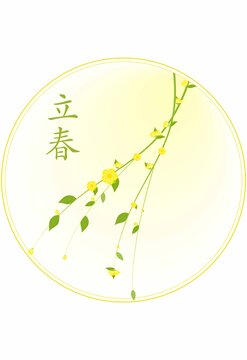 立春迎春花