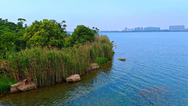 湖边景色