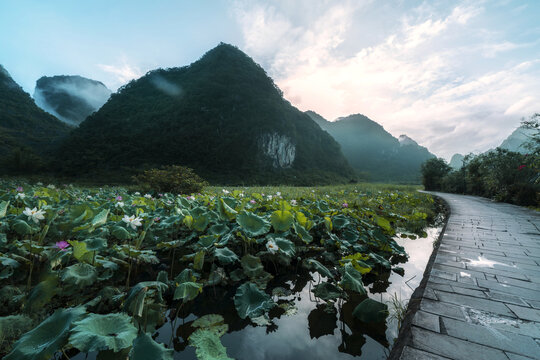 荷花池塘