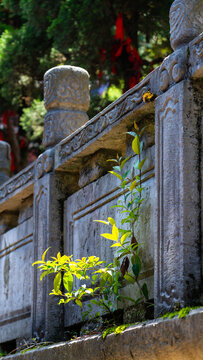 黔灵山公园弘福寺石栏