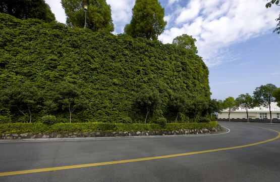 城市道路绿化