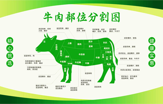 牛肉部位分割图分解图